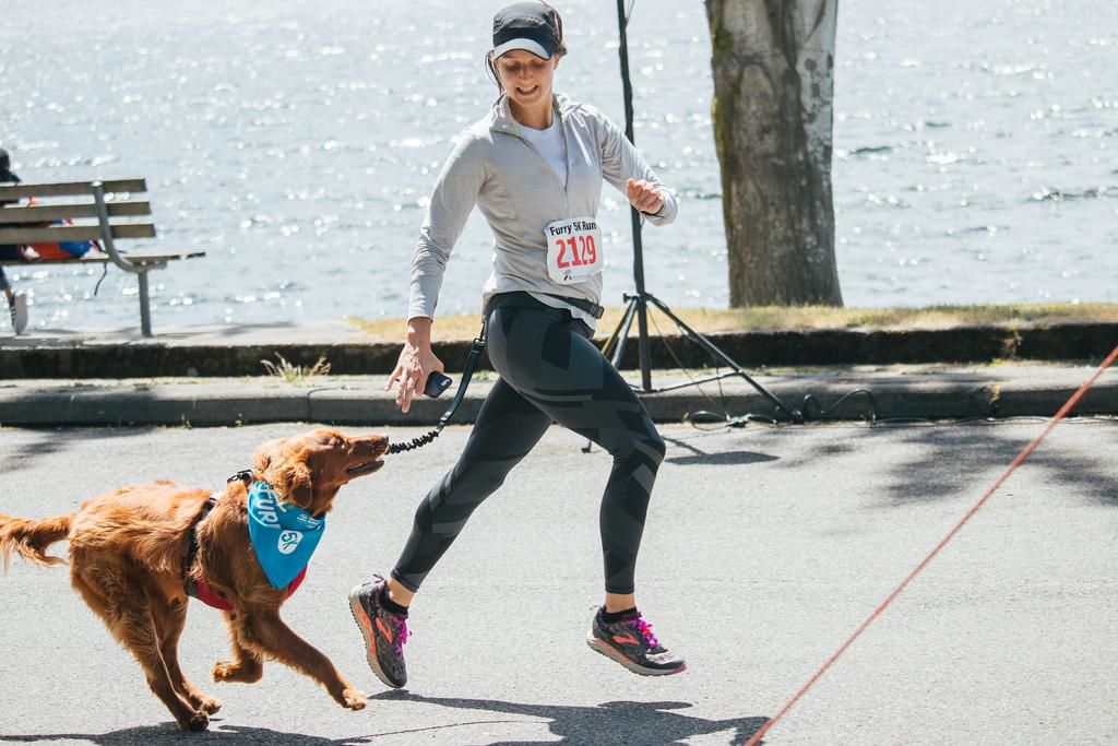 Involve four-legged friends